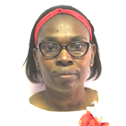 Mrs BR Msomi -  CEO